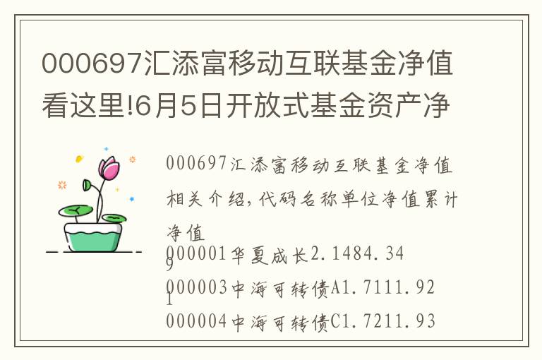 000697汇添富移动互联基金净值看这里!6月5日开放式基金资产净值日报表