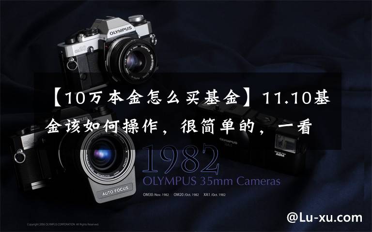 【10万本金怎么买基金】11.10基金该如何操作,很简单的,一看就明白