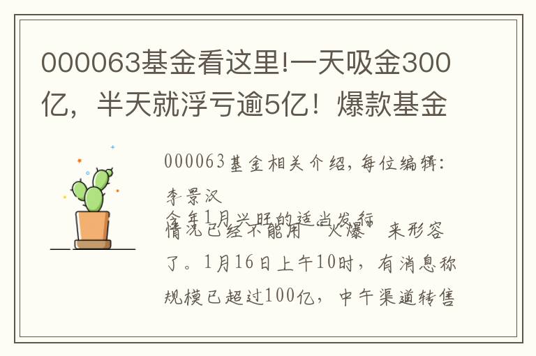 000063基金看这里!一天吸金300亿,半天就浮亏逾5亿!爆款基金盘中跌停,9万人被套