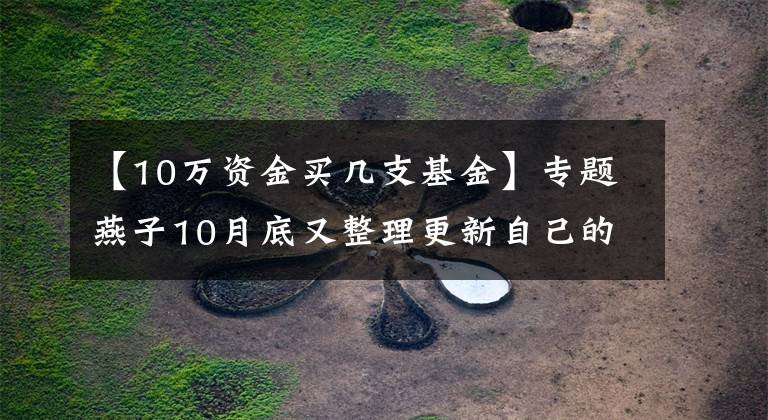 【10万资金买几支基金】专题燕子10月底又整理更新自己的基金持仓给小伙伴们参考了