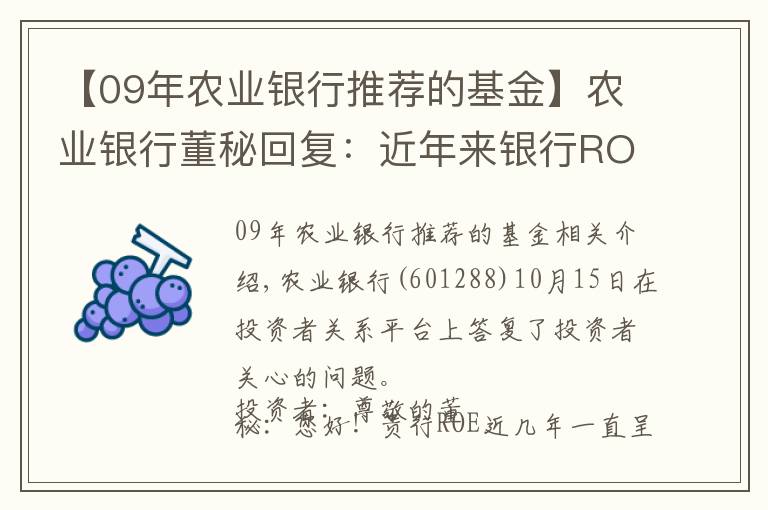 【09年农业银行推荐的基金】农业银行董秘回复:近年来银行ROE下滑是一个行业性的现象
