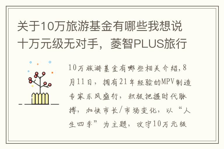 关于10万旅游基金有哪些我想说十万元级无对手，菱智PLUS旅行版重新定义舒适大商旅