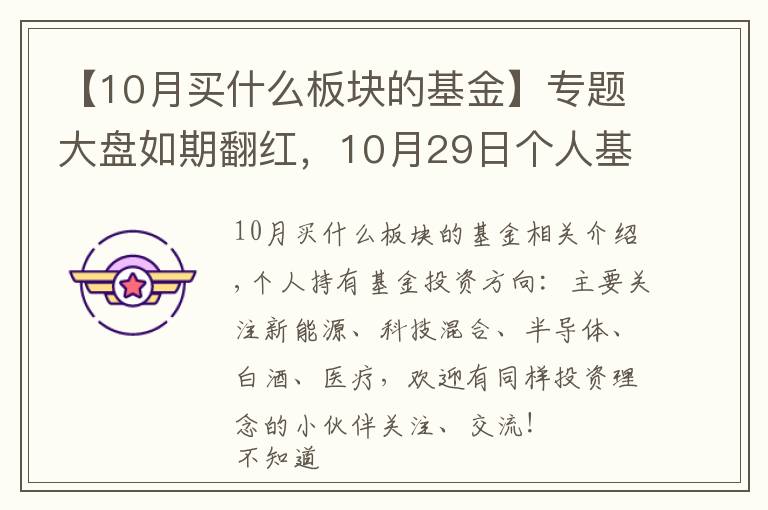 【10月买什么板块的基金】专题大盘如期翻红,10月29日个人基金分享