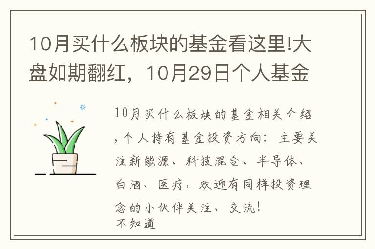 10月买什么板块的基金看这里!大盘如期翻红,10月29日个人基金分享