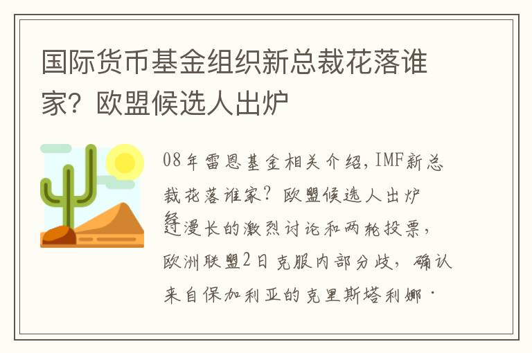 国际货币基金组织新总裁花落谁家？欧盟候选人出炉