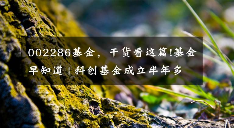 002286基金，干货看这篇!基金早知道 | 科创基金成立半年多，最牛涨超30%！有的却错过科技股行情