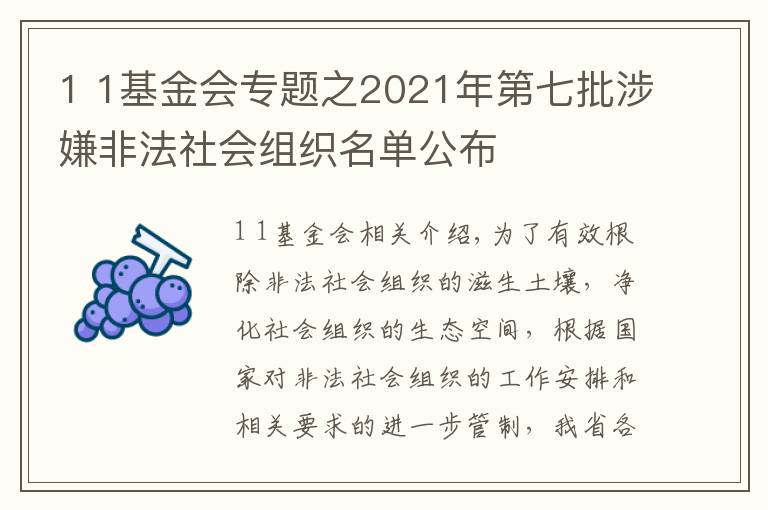 1 1基金会专题之2021年第七批涉嫌非法社会组织名单公布