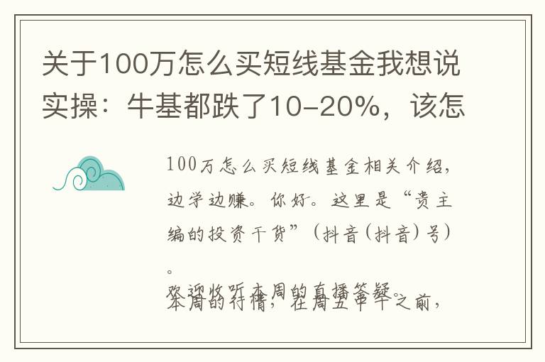 关于100万怎么买短线基金我想说实操:牛基都跌了10-20%,该怎么补仓、换仓?
