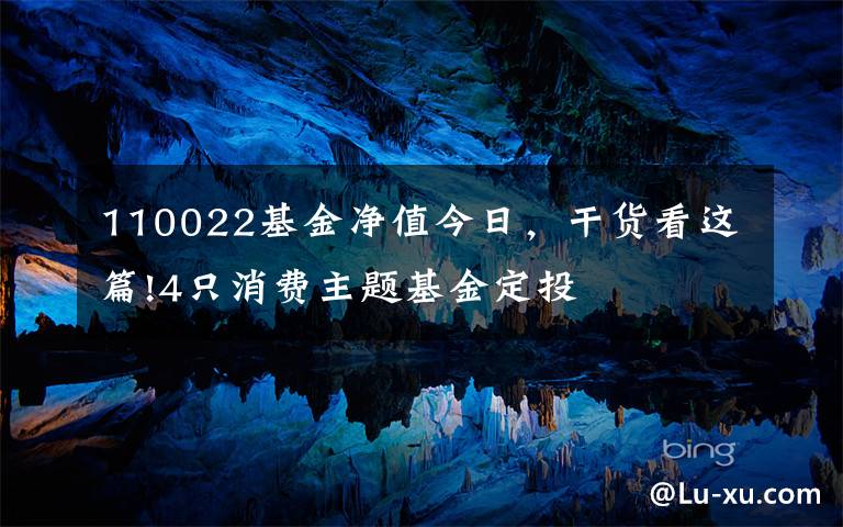 110022基金净值今日，干货看这篇!4只消费主题基金定投