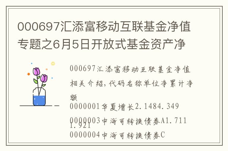 000697汇添富移动互联基金净值专题之6月5日开放式基金资产净值日报表