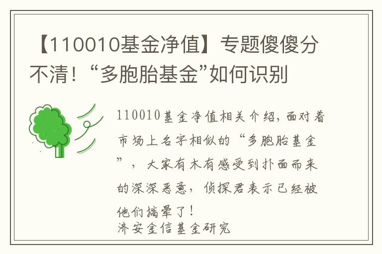 【110010基金净值】专题傻傻分不清！“多胞胎基金”如何识别？