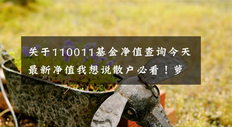 关于110011基金净值查询今天最新净值我想说散户必看!萝卜君最佩服的7年5倍神话