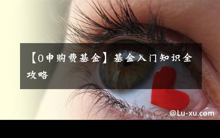 【0申购费基金】基金入门知识全攻略
