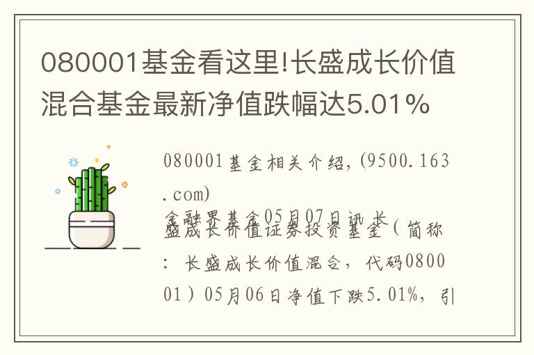 080001基金看这里!长盛成长价值混合基金最新净值跌幅达5.01%