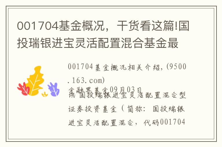 001704基金概况,干货看这篇!国投瑞银进宝灵活配置混合基金最新净值涨幅达2.87%