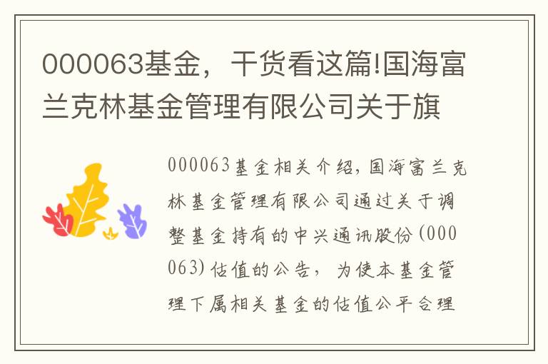 000063基金,干货看这篇!国海富兰克林基金管理有限公司关于旗下基金所持中兴通讯股票(000063)估值调整的公告