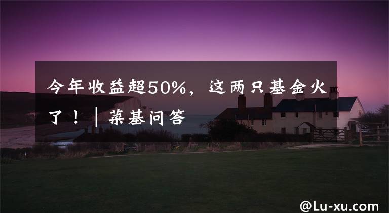 今年收益超50%,这两只基金火了!|菜基问答
