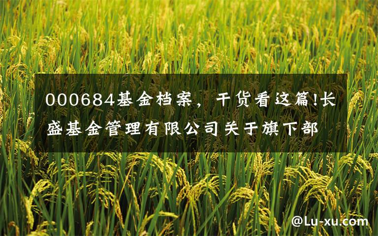 000684基金档案,干货看这篇!长盛基金管理有限公司关于旗下部分产品增加销售机构并开通定投和转换及参加费率优惠活动的公告