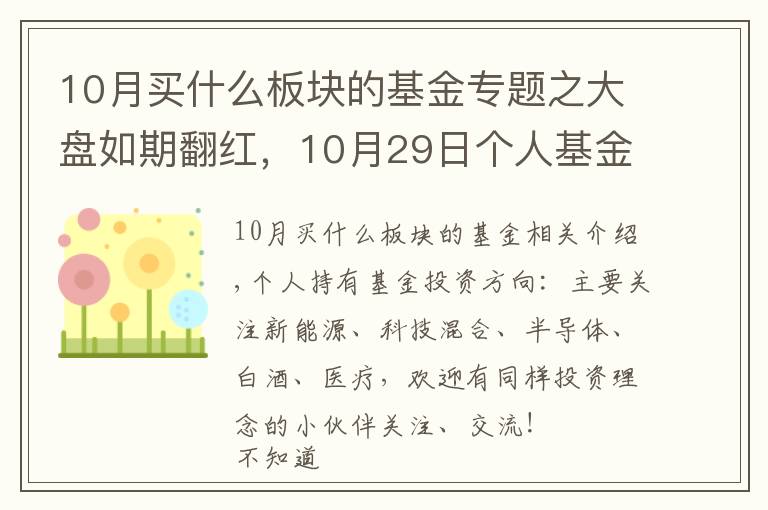10月买什么板块的基金专题之大盘如期翻红,10月29日个人基金分享