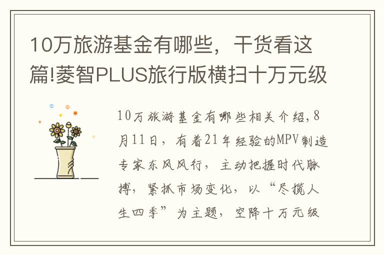 10万旅游基金有哪些，干货看这篇!菱智PLUS旅行版横扫十万元级MPV市场