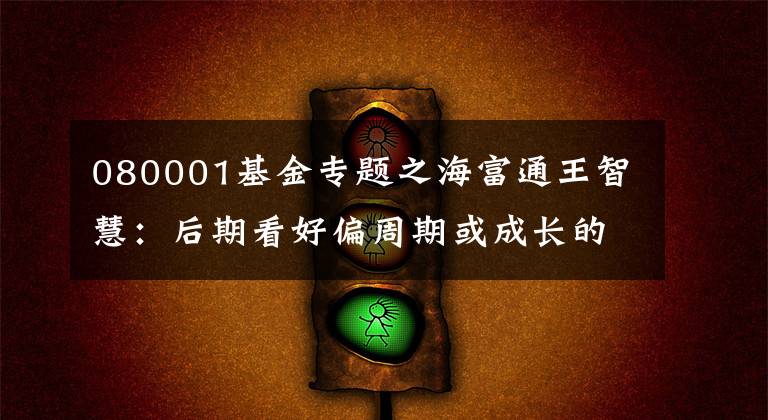 080001基金专题之海富通王智慧：后期看好偏周期或成长的龙头个股
