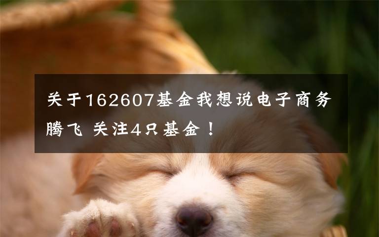 关于162607基金我想说电子商务腾飞 关注4只基金！