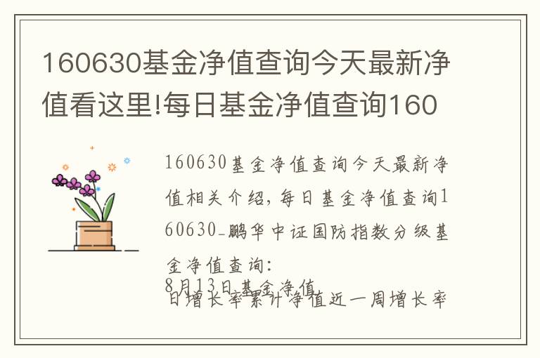 160630基金净值查询今天最新净值看这里!每日基金净值查询160630