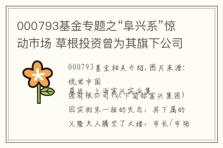 000793基金专题之“阜兴系”惊动市场 草根投资曾为其旗下公司巨额授信
