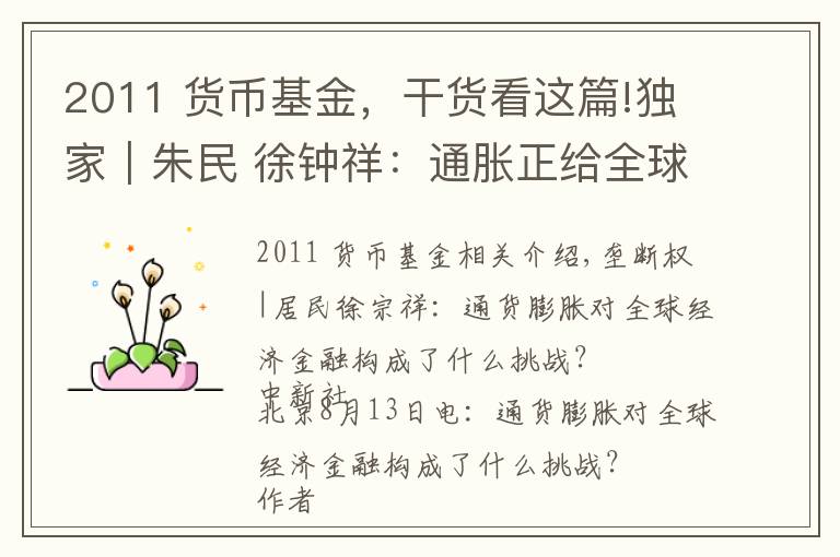 2011 货币基金,干货看这篇!独家|朱民 徐钟祥:通胀正给全球经济金融带来何种挑战?