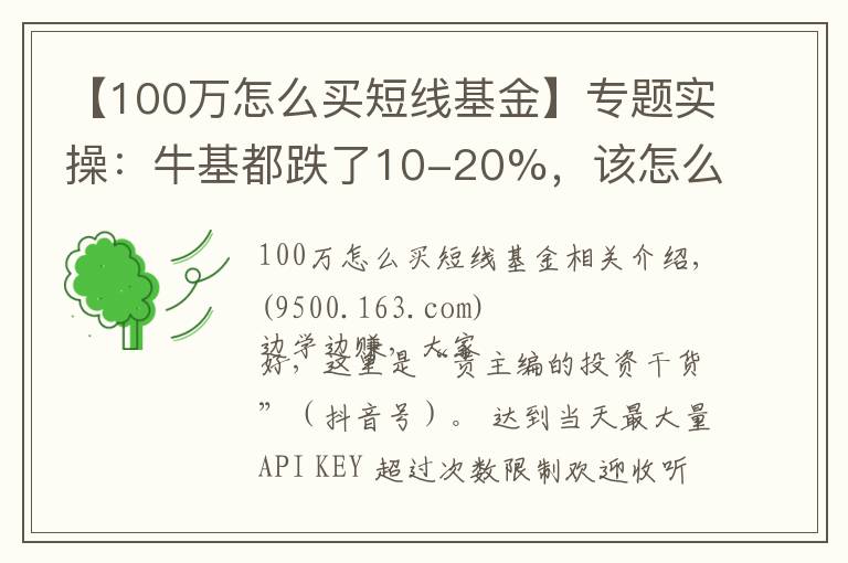 【100万怎么买短线基金】专题实操:牛基都跌了10-20%,该怎么补仓、换仓?