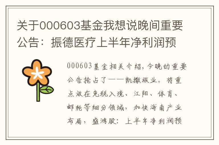关于000603基金我想说晚间重要公告：振德医疗上半年净利润预增超9.25亿元 防疫用品销量大增……
