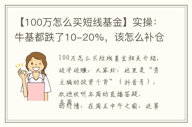 【100万怎么买短线基金】实操:牛基都跌了10-20%,该怎么补仓、换仓?