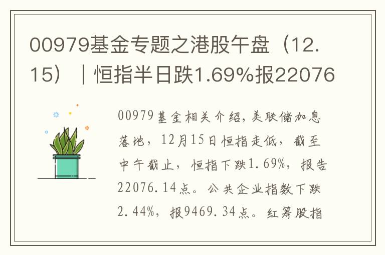 00979基金专题之港股午盘(12.15)︱恒指半日跌1.69%报22076.14点 蓝筹股全线下挫