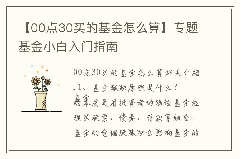 【00点30买的基金怎么算】专题基金小白入门指南
