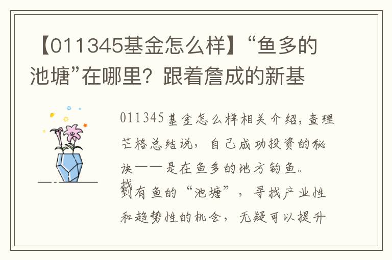 【011345基金怎么样】“鱼多的池塘”在哪里?跟着詹成的新基金“下杆钓鱼”吧