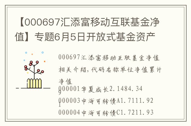 【000697汇添富移动互联基金净值】专题6月5日开放式基金资产净值日报表