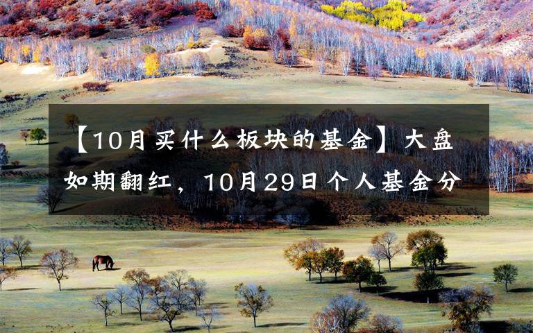 【10月买什么板块的基金】大盘如期翻红,10月29日个人基金分享
