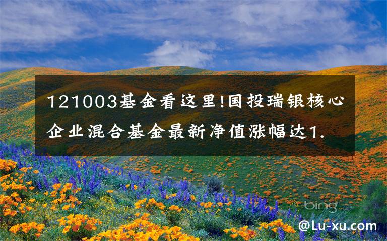 121003基金看这里!国投瑞银核心企业混合基金最新净值涨幅达1.67%