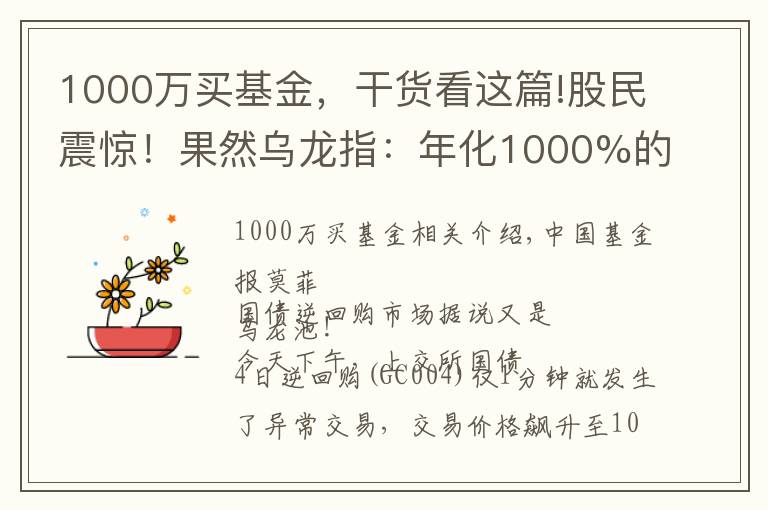1000万买基金，干货看这篇!股民震惊！果然乌龙指：年化1000%的收益，还成交了340万