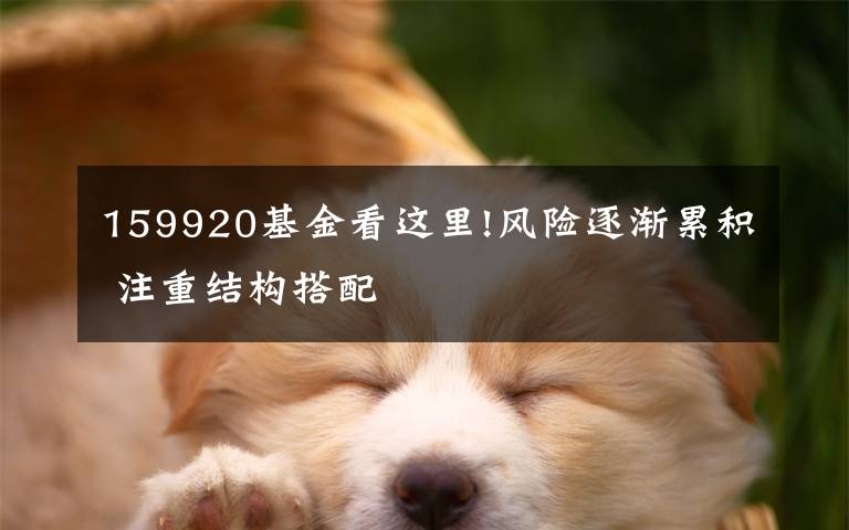 159920基金看这里!风险逐渐累积 注重结构搭配