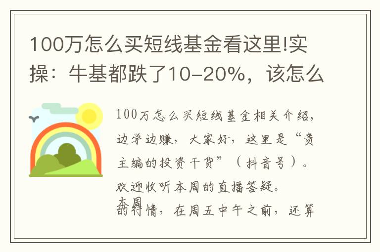 100万怎么买短线基金看这里!实操:牛基都跌了10-20%,该怎么补仓、换仓?