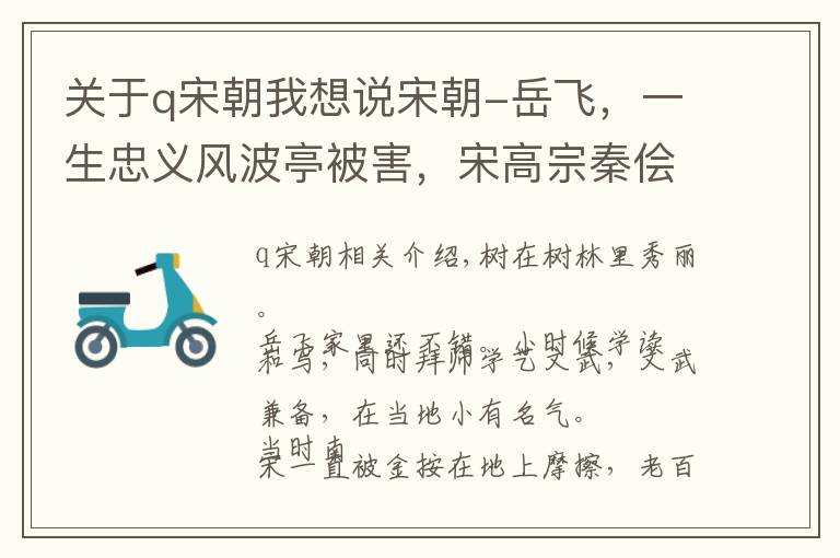 关于q宋朝我想说宋朝-岳飞，一生忠义风波亭被害，宋高宗秦侩却安乐一世