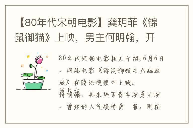 【80年代宋朝电影】龚玥菲《锦鼠御猫》上映,男主何明翰,开封府故事,戏说三侠五义