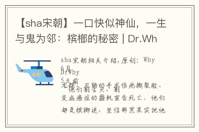 【sha宋朝】一口快似神仙,一生与鬼为邻:槟榔的秘密 | Dr.Why