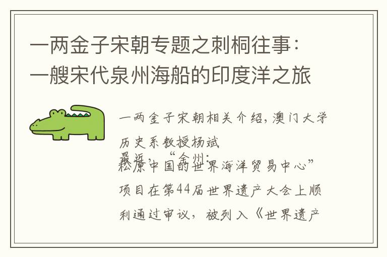 一两金子宋朝专题之刺桐往事:一艘宋代泉州海船的印度洋之旅