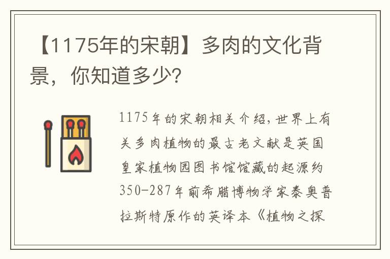 【1175年的宋朝】多肉的文化背景，你知道多少？