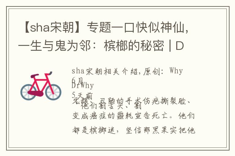 【sha宋朝】专题一口快似神仙，一生与鬼为邻：槟榔的秘密 | Dr.Why