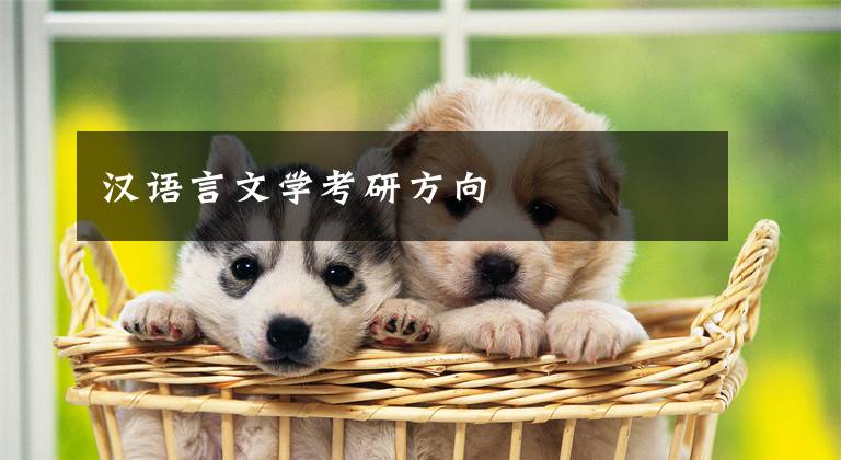 汉语言文学考研方向