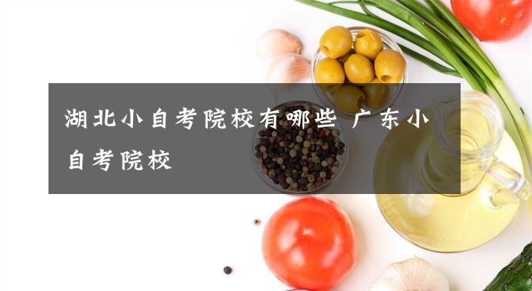 湖北小自考院校有哪些 广东小自考院校