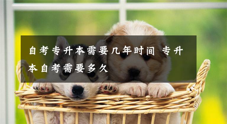 自考专升本需要几年时间 专升本自考需要多久